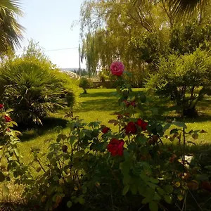 Il Giardino Delle Rose A Olmedo